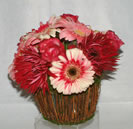 Atos - C&oacute;d. 20012 - 35,00&euro;