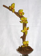 Serpente - C&oacute;d. 20014 - 75,00&euro;