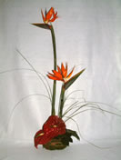 Sharon - C&oacute;d. 20016 - 48,00&euro;