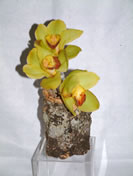 Jane - C&oacute;d. 20018 - 55,00&euro;