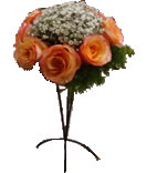 Fabia - C&oacute;d. 23006 - 95,00&euro;