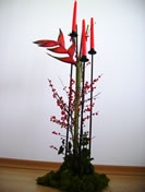 Hula - C&oacute;d. 28008 - 50,00&euro;